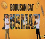 İş Makinası - Borusan Cat’ten 3 ve 4 Temmuz’da ilgi çekici canlı Youtube etkinliği Forum Makina